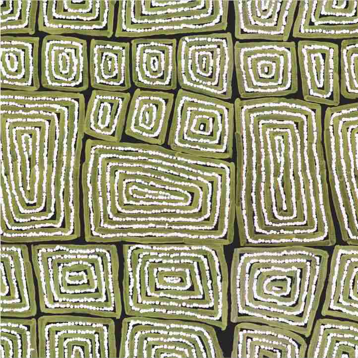 Thomas Tjapaltjarri Khaki